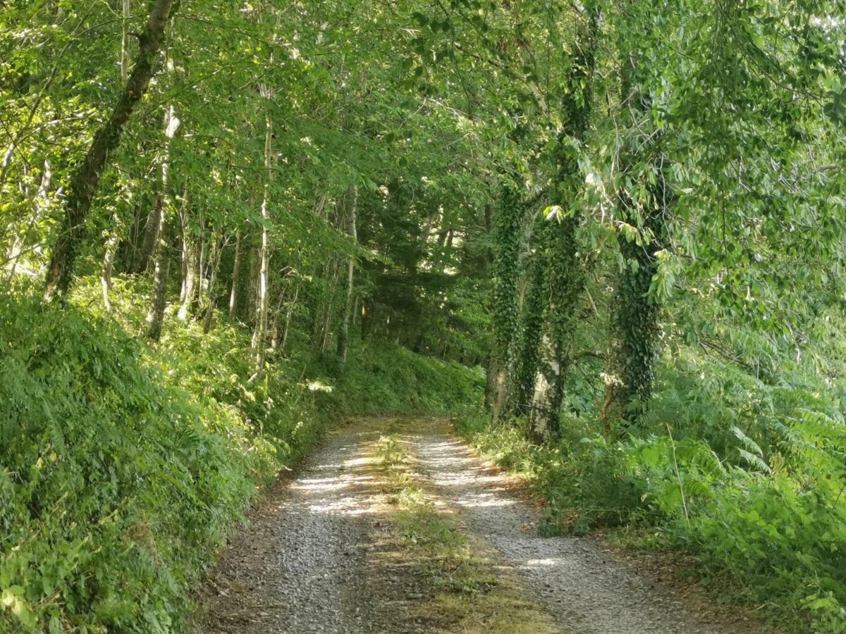Domaine Lvd Avec Spa, Bois Et Riviere Privee La Bloutiere Εξωτερικό φωτογραφία