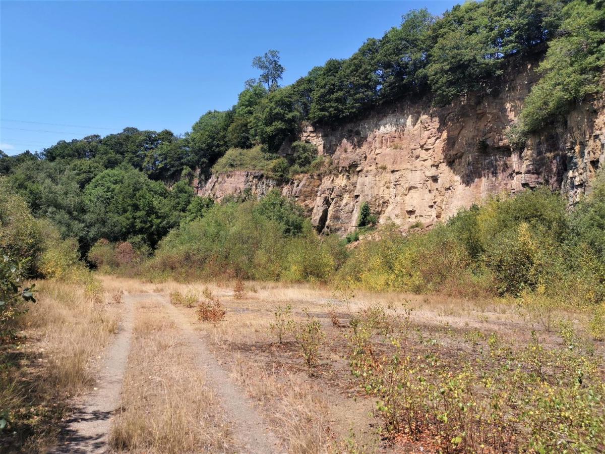 Domaine Lvd Avec Spa, Bois Et Riviere Privee La Bloutiere Εξωτερικό φωτογραφία